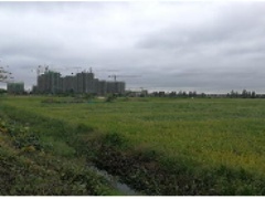 南昌市高新區(qū)文苑路以南、麻中大道以西B05-05地塊一宗面積為66644平方米商業(yè)、商務(wù)、居住用地國(guó)有建設(shè)用地使用權(quán)出讓價(jià)格評(píng)估